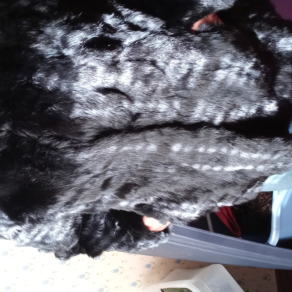 Exquisite Black Rabbit Fur - Picture 5 of 7